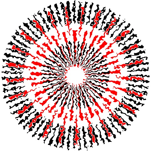 Variation 1