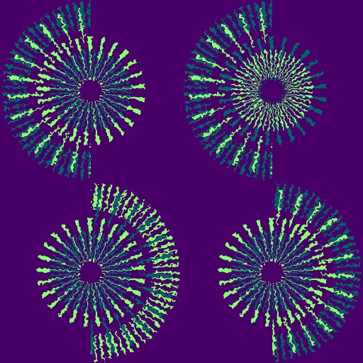 Variation 7