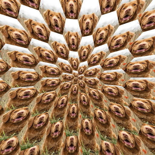 Variation 2