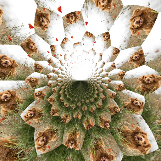 Variation 4