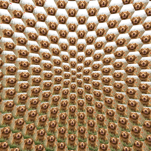 Variation 5