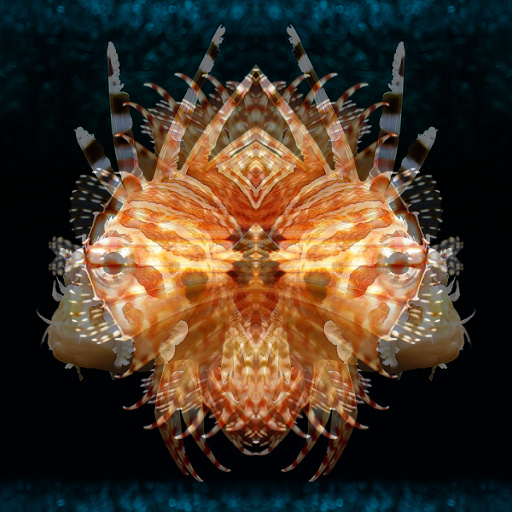 Variation 1