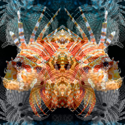 Variation 4