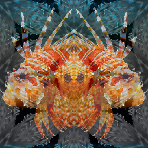 Variation 6