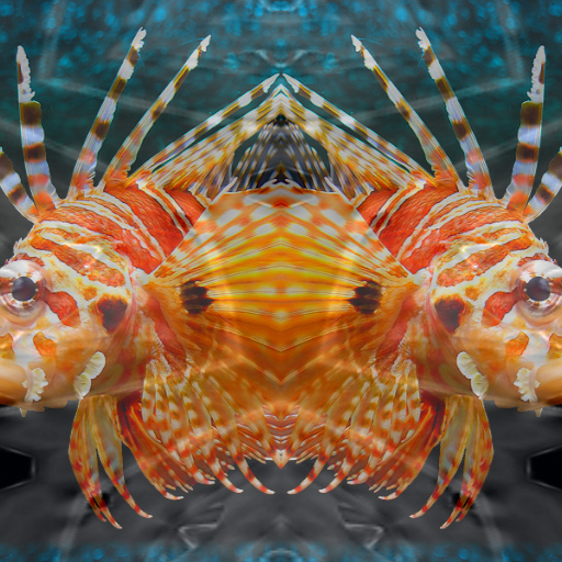 Variation 7
