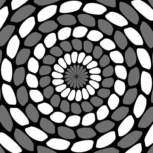 Variation 4