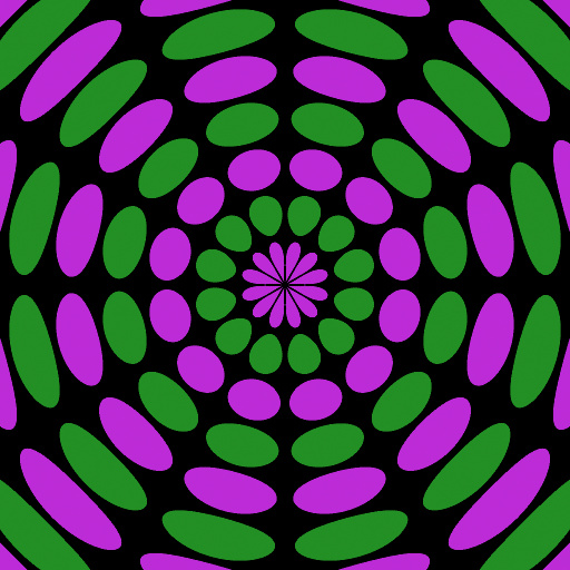 Variation 8