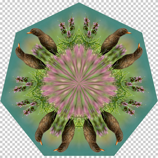 Variation 2