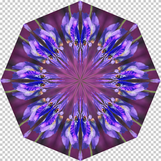 Variation 4
