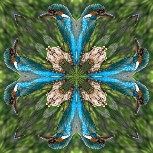 Variation 6