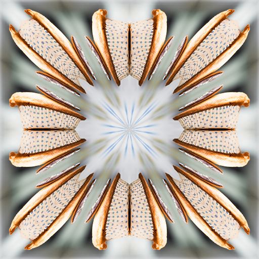 Variation 8