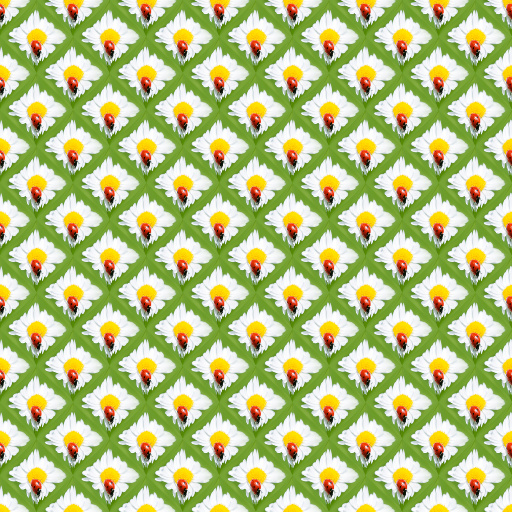 Variation 7