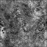Unity 2018.3 - Lightweight RP - Lit - Metallic