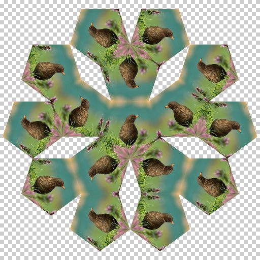 Variation 3