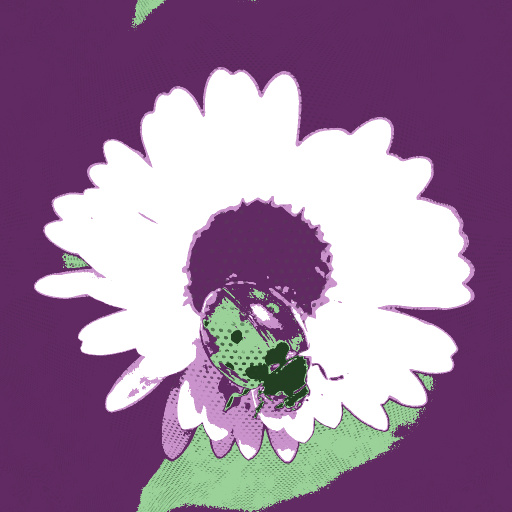 Variation 2