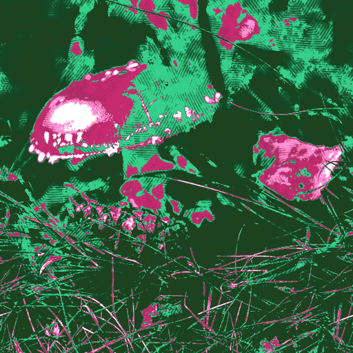 Variation 4