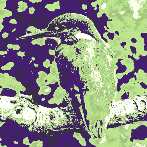 Variation 6