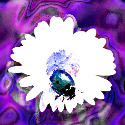 Variation 2