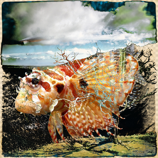 Variation 5