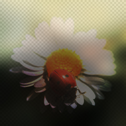 Variation 6