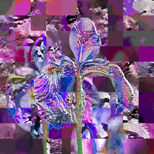 Variation 1