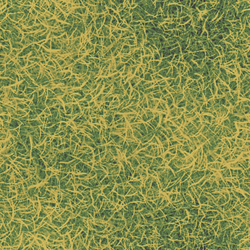 Wild Grass (Texture)