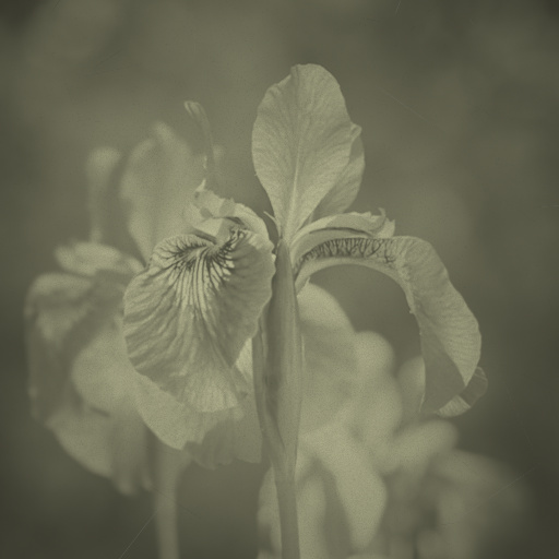 Variation 5