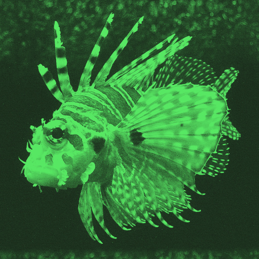 Night Vision (Effect)