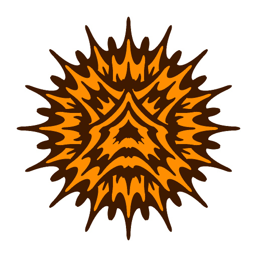 Variation 5