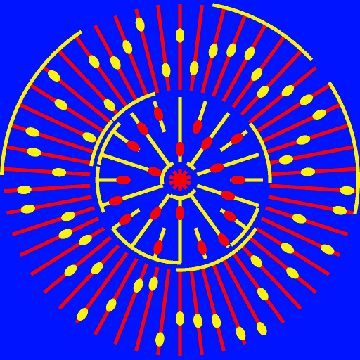 Variation 8