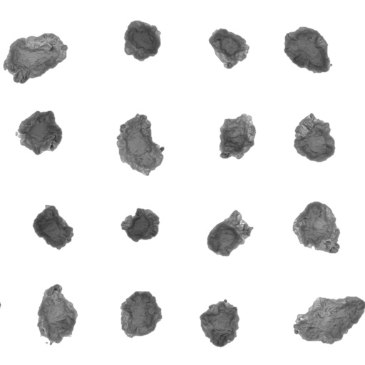 Occlusion Map