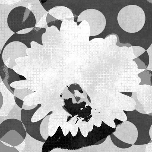 Variation 4