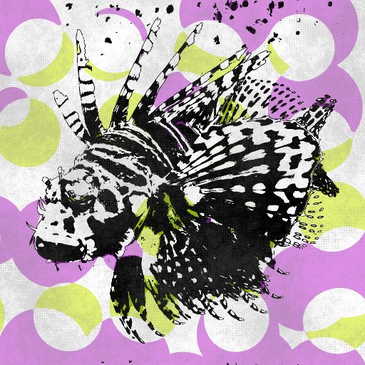 Variation 6