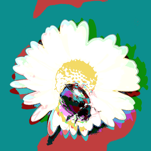 Variation 4