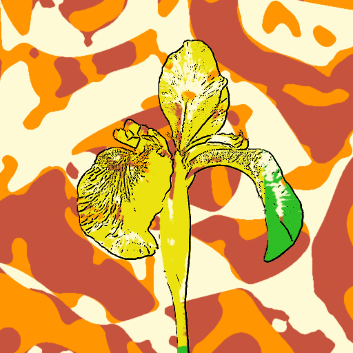 Variation 4