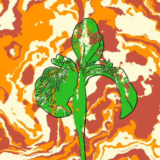 Variation 8