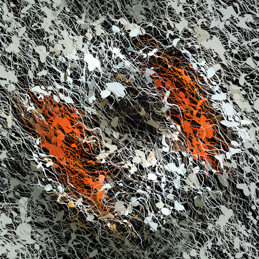Variation 4