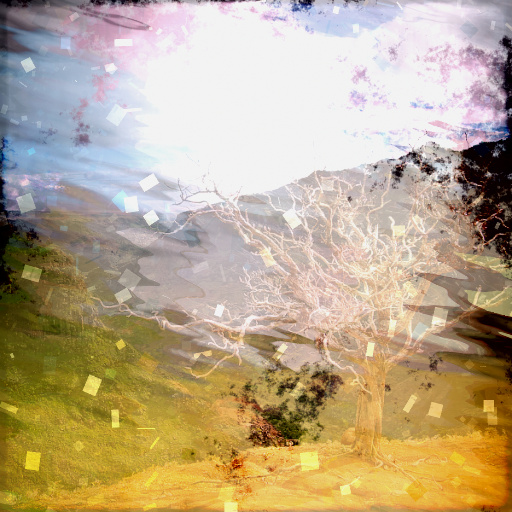 Variation 5