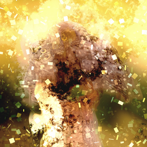 Variation 8