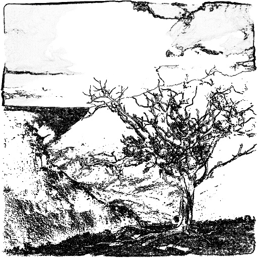 Variation 4