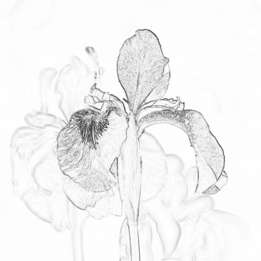 Variation 7