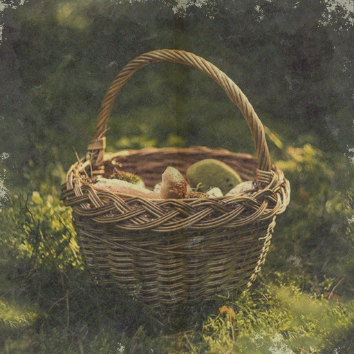 Variation 1