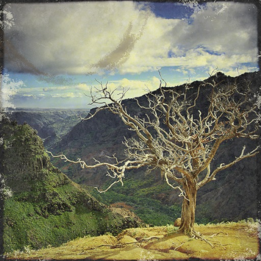 Variation 7