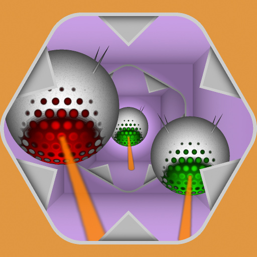 Variation 8