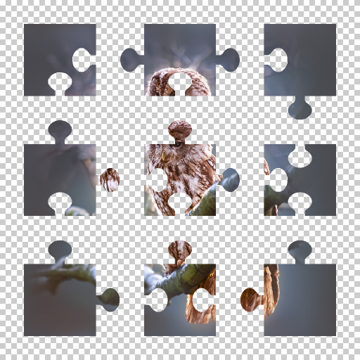 Variation 1