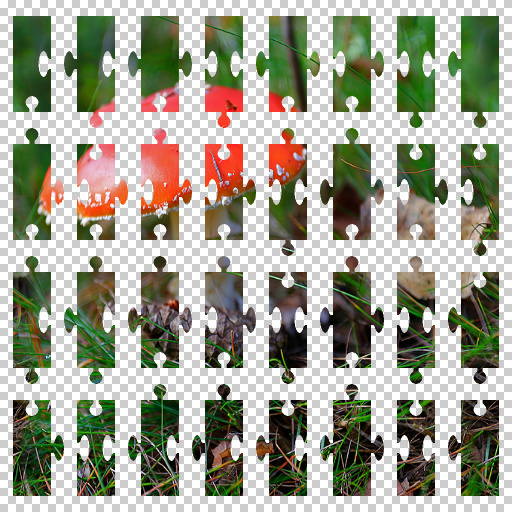 Variation 7