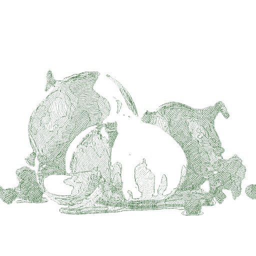 Variation 8