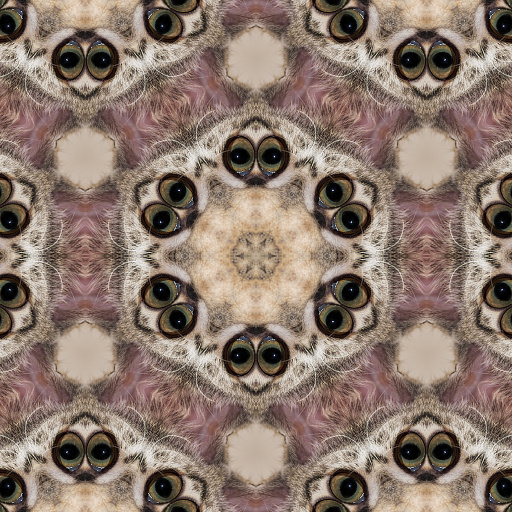 Variation 7