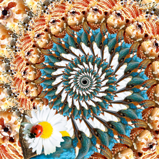 Variation 4
