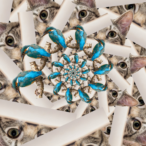 Variation 5